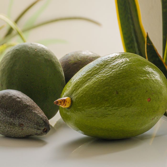 Bơ sáp Đồng Kho